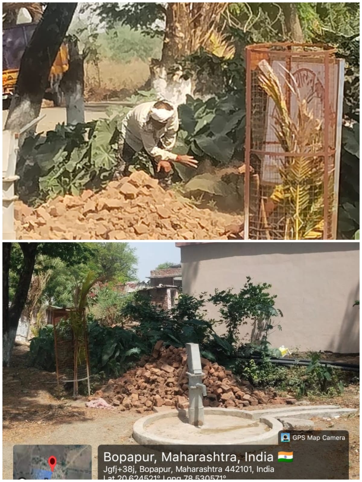विहीर नूतनीकरण व झाड लागवड